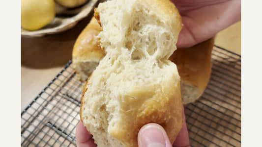 Dinner Rolls